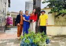 Phong trào trồng cây xanh, cây hoa trên địa bàn xã Tân Châu